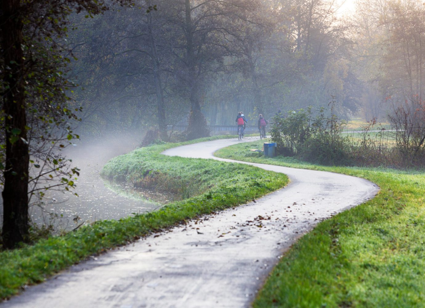 green pathway